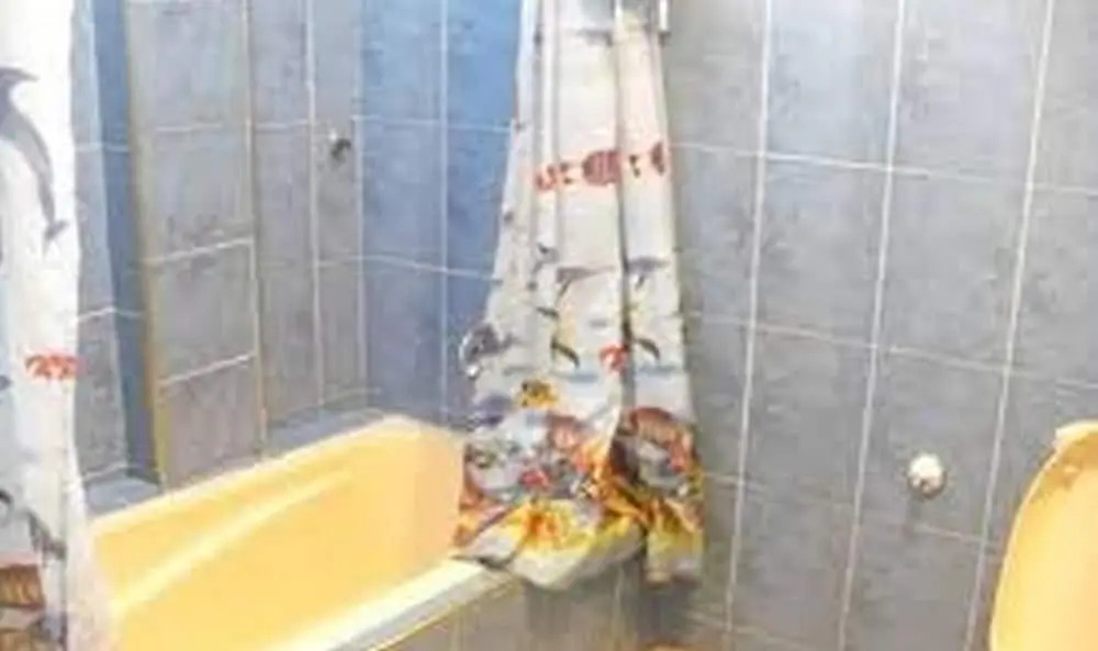True Vine Hotel