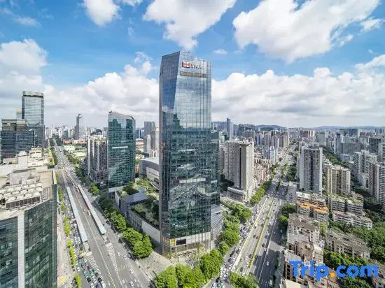Rui Lan Square Qingju(Guangzhou Zhengjia Square, Taikuhui)