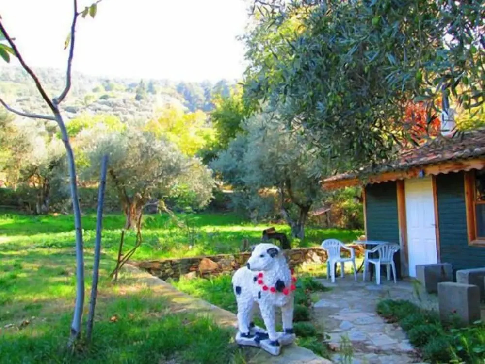 Kucuk Ciftlik Bungalow Evleri