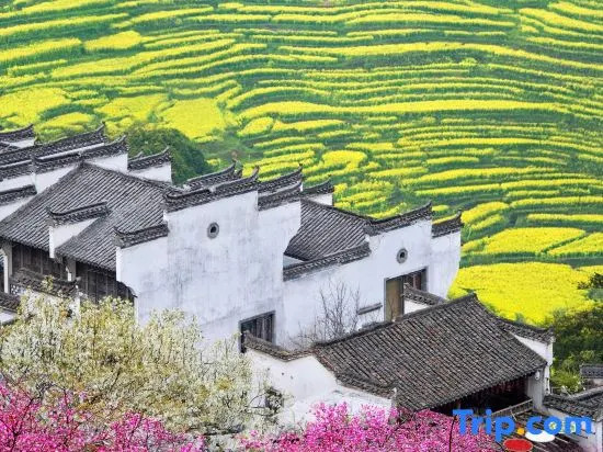 Wuyuan Leye Mountain House