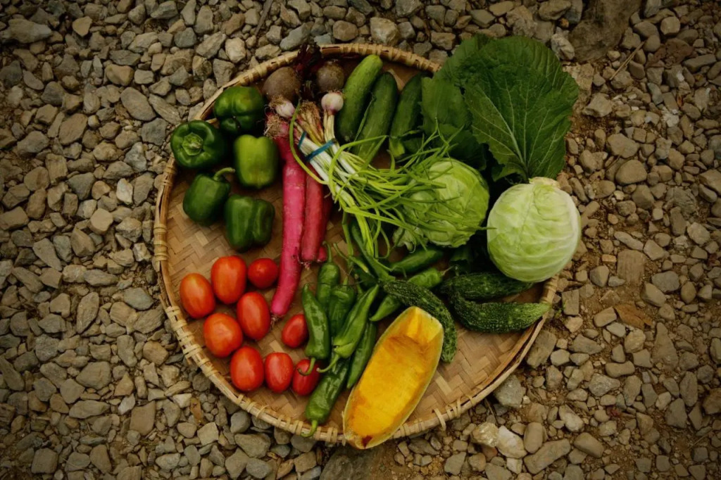 Kalimpong Village Retreat