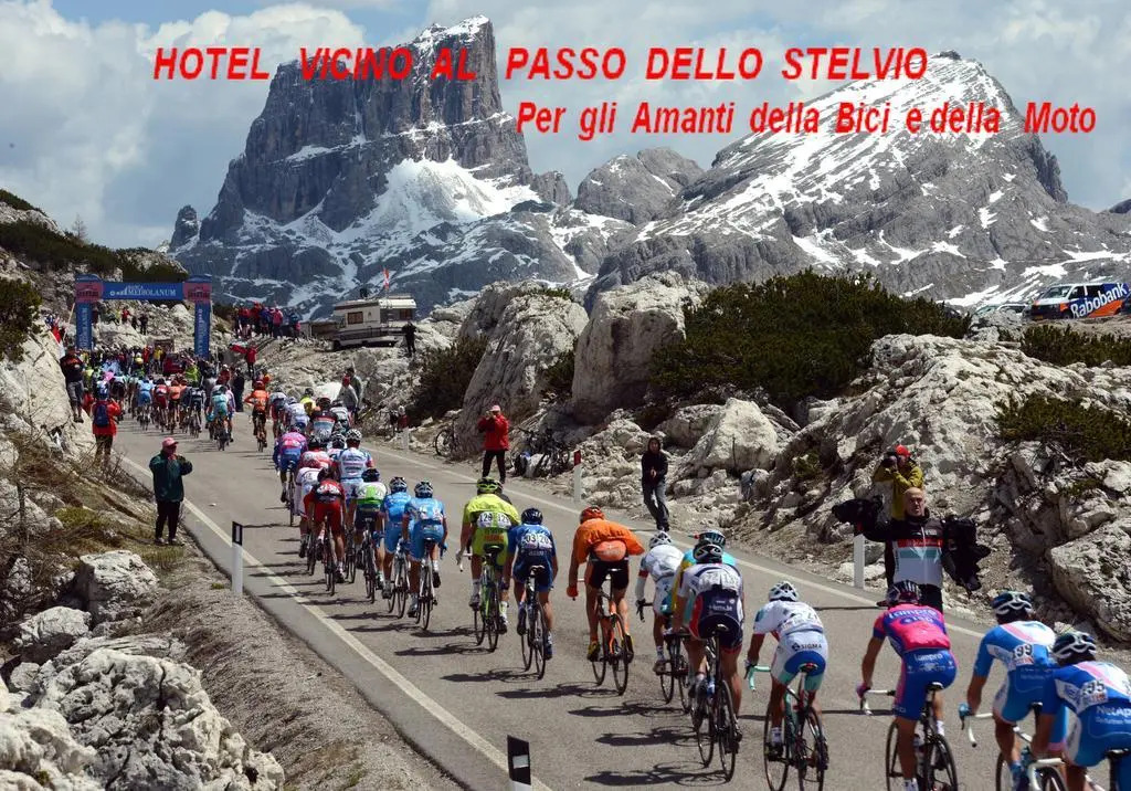 Albergo Motel Dosdè B&B
