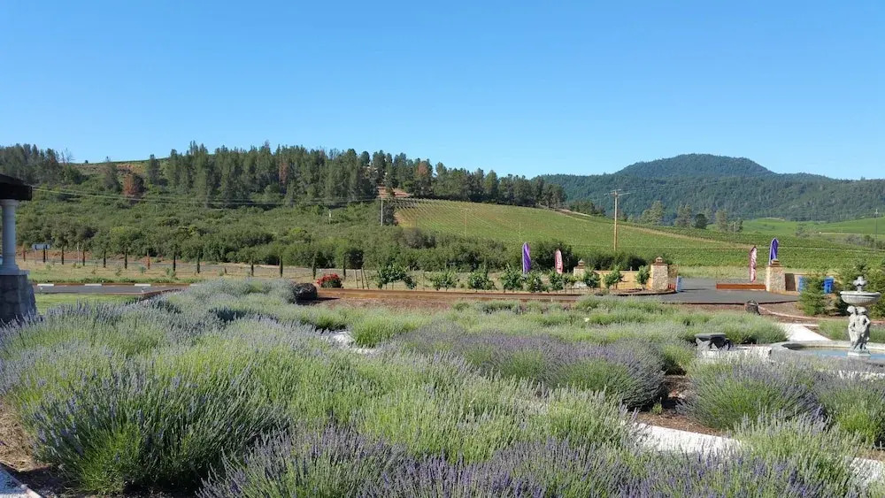 Thorn Hill Vineyards Villa Suites