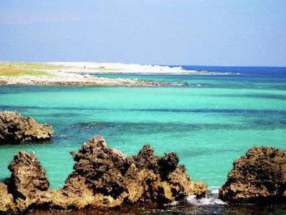 Apartment Near the sea in the Salento Region, Wifi, Stunning Views