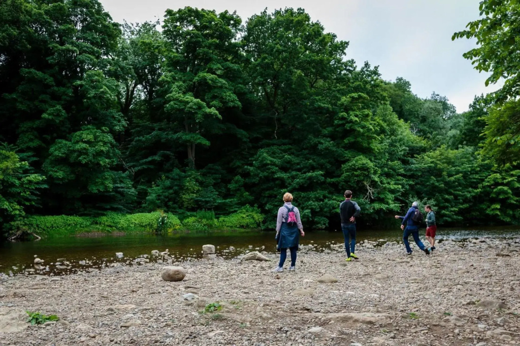 Yorkshire Dales Lodge 18 by Together Travel - 3-Bed Premium Family