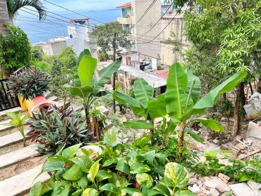 Lovely Apartment with Patio and Ocean View