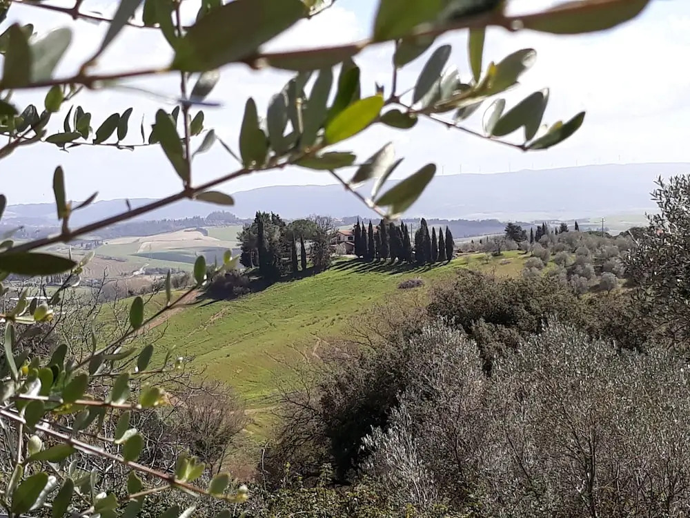 B&B La Casina di Parrana