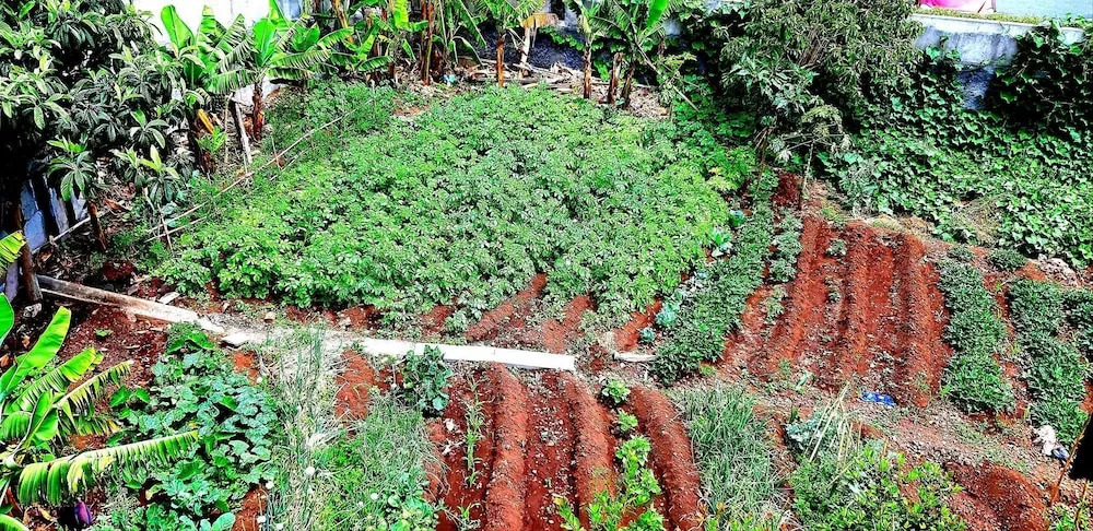 The Dream Apartment - ETC Madeira