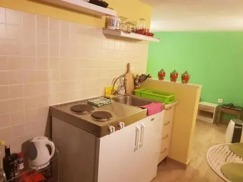 Calypsos Cave the Apartment for Animal Lovers