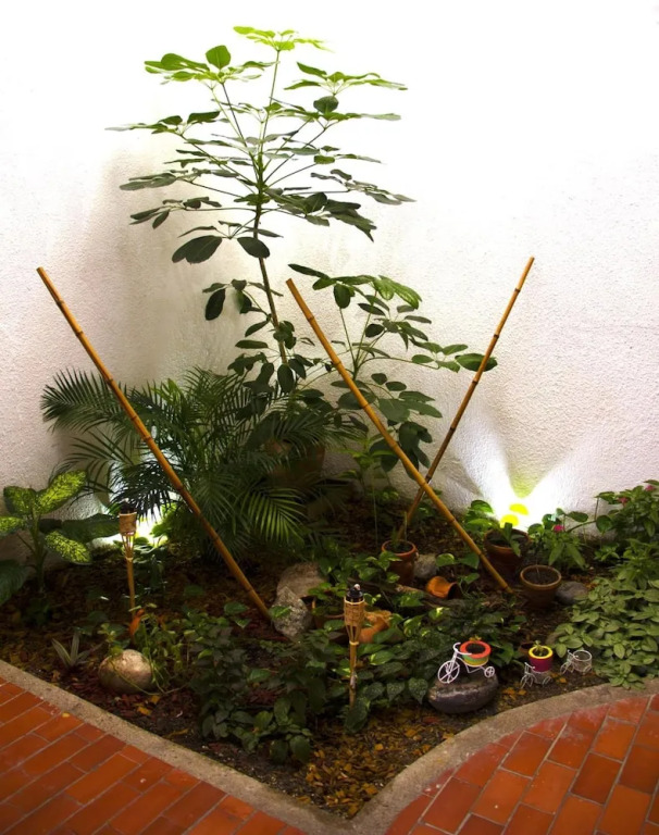 Zamia Hostel
