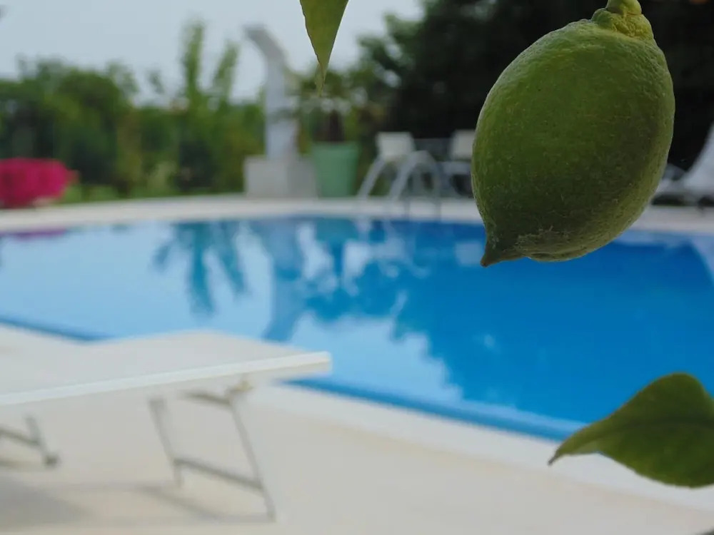 Agriturismo DellOrto Apartments