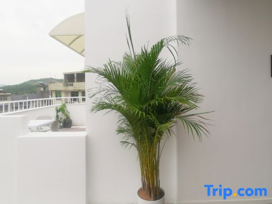 Zhijian Design Guesthouse