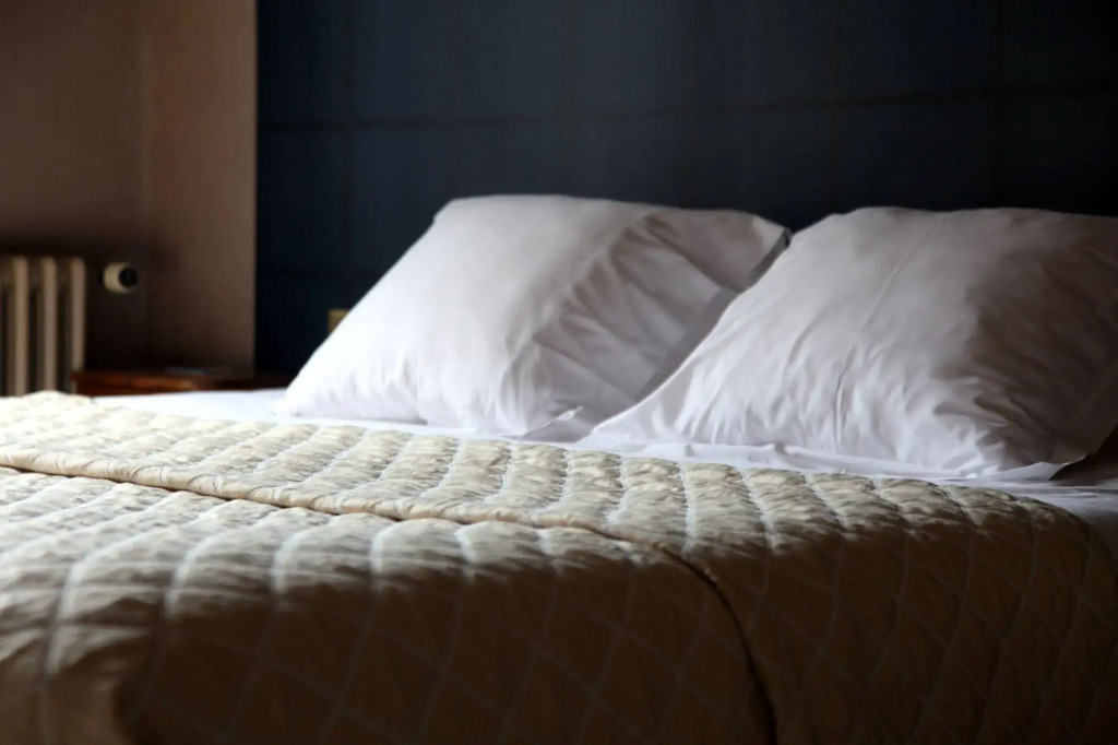 Logis Hotel Restaurant Le Cheval Blanc