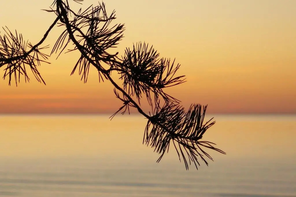 JURMALA ,экологический дом,2 этаж с отдельным входом
