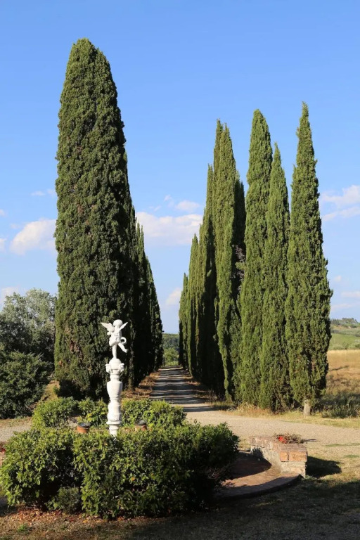 Villa Albertina