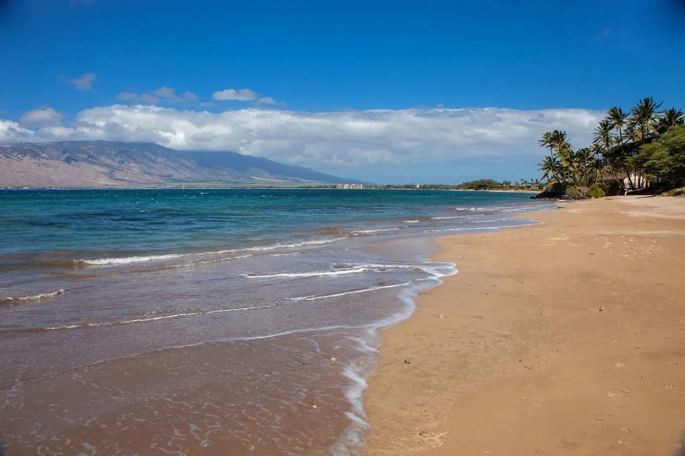 Kihei Bay Vista B201 by Coldwell Banker Island Vacations