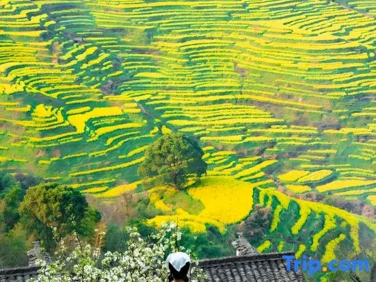 Shanheyue·scenery view meisu