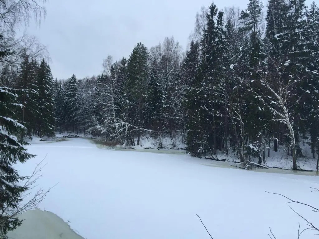 Rēzijas