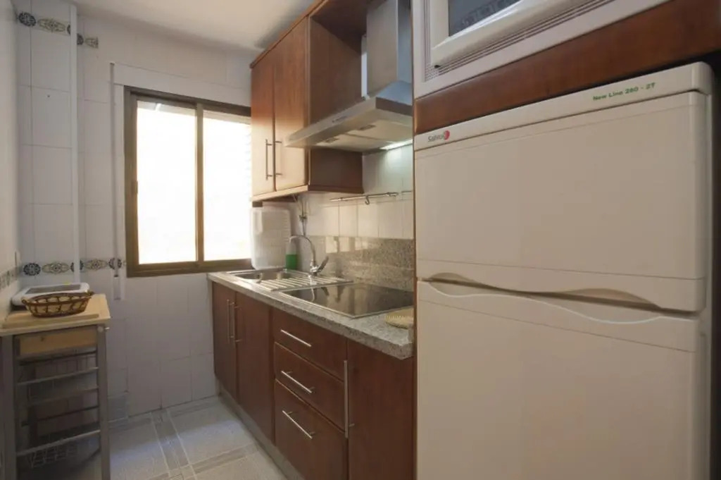 Apartment in Malaga 101679