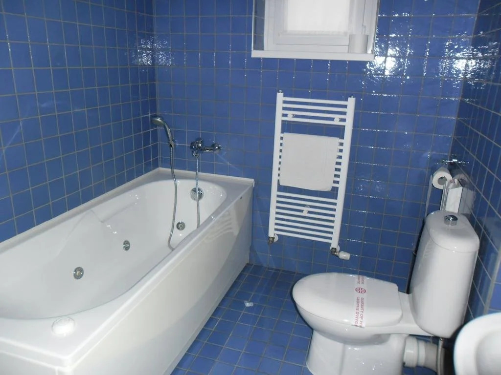 Hotel Arli