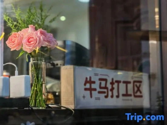 Shi Yu ∣ RainVerse Space · Sleep with Wind & Rain · Leisure Resort Guesthouse