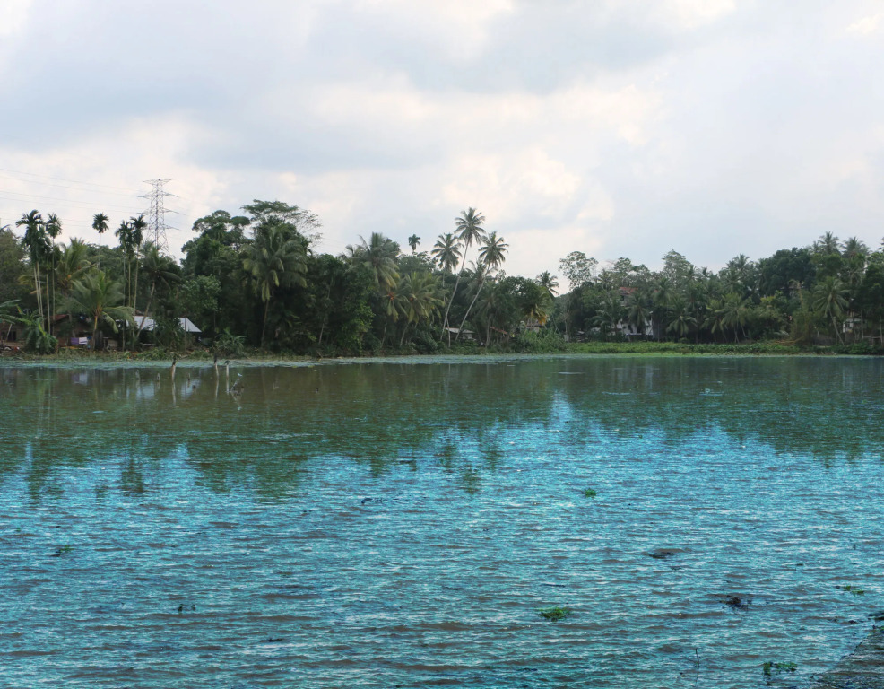 Saninro Hotel - Ragama
