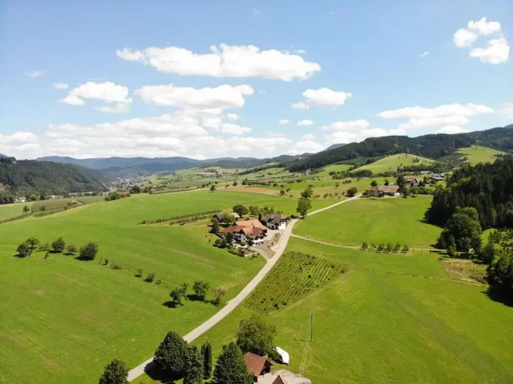 Pleasant Apartment in Zell am Harmersbach