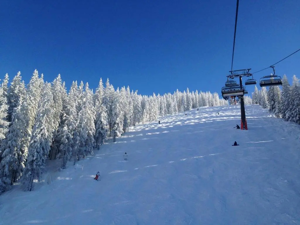 Muhlbach 345b
