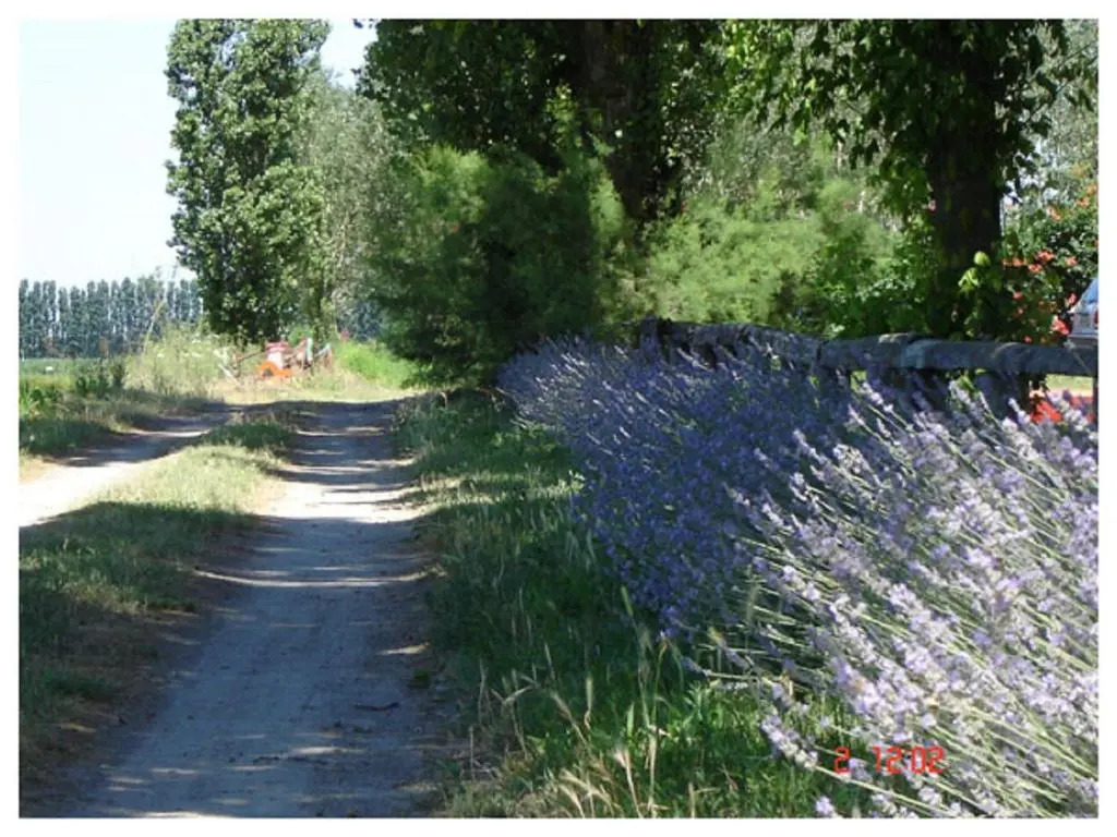 Agriturismo Valle Isola "La Tana del Gusto"