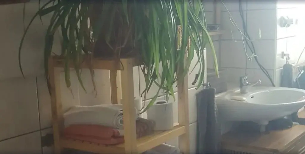 LoftFarm