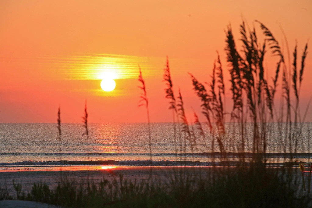 Guy Harvey Resort on Saint Augustine Beach