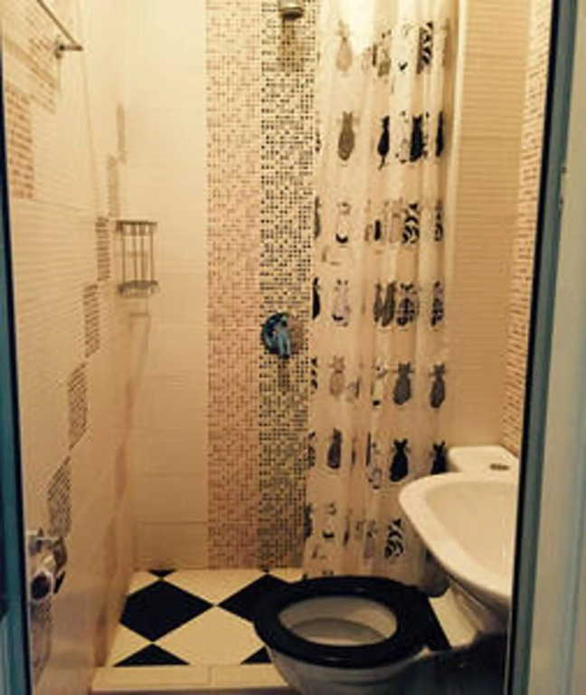 Spacious House in Central Sofia with Garden