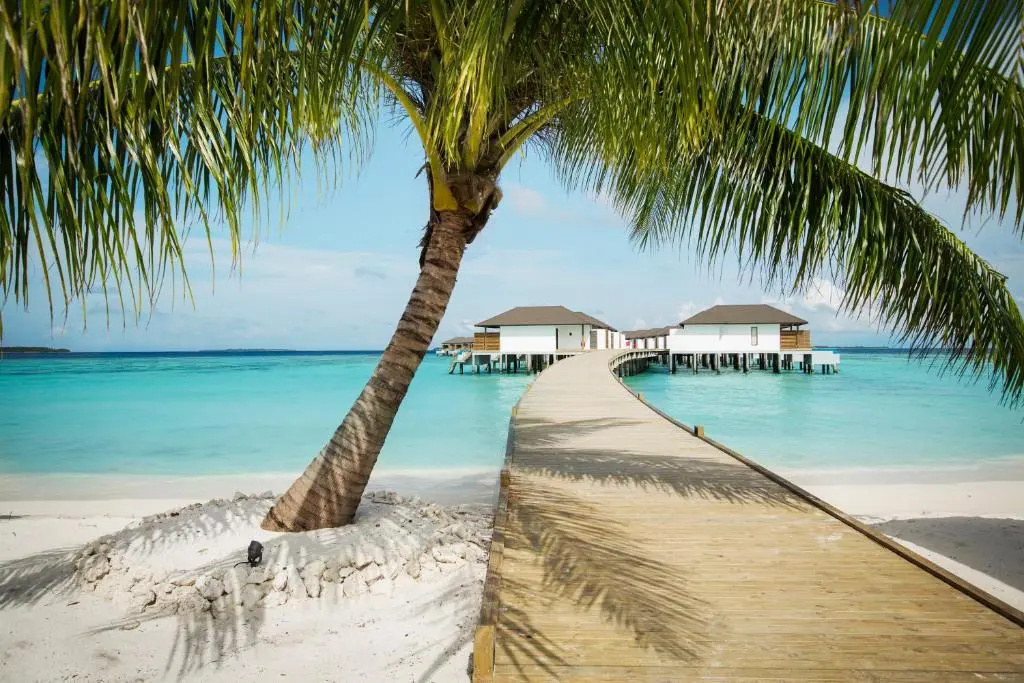 ROBINSON NOONU - All Inclusive