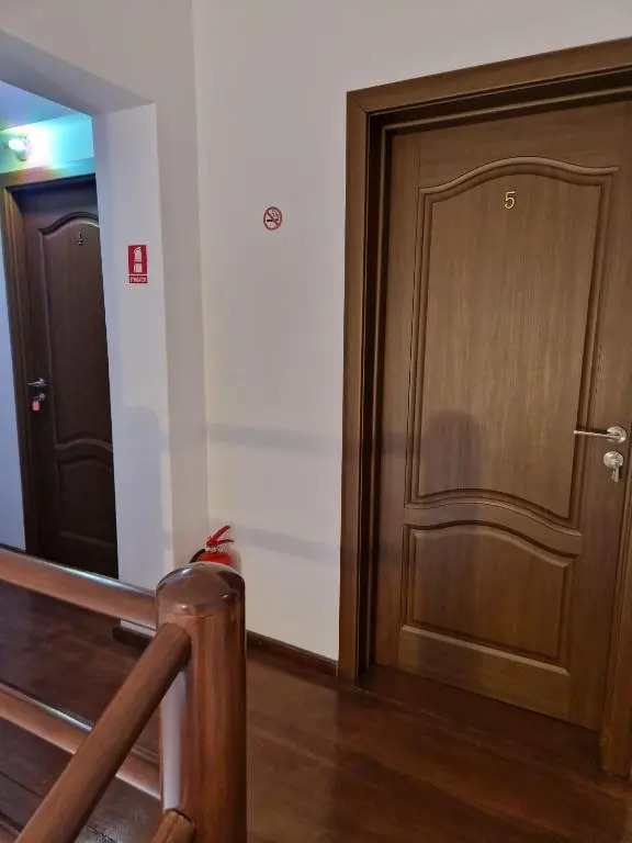 Vila Pinul si Mesteacanul