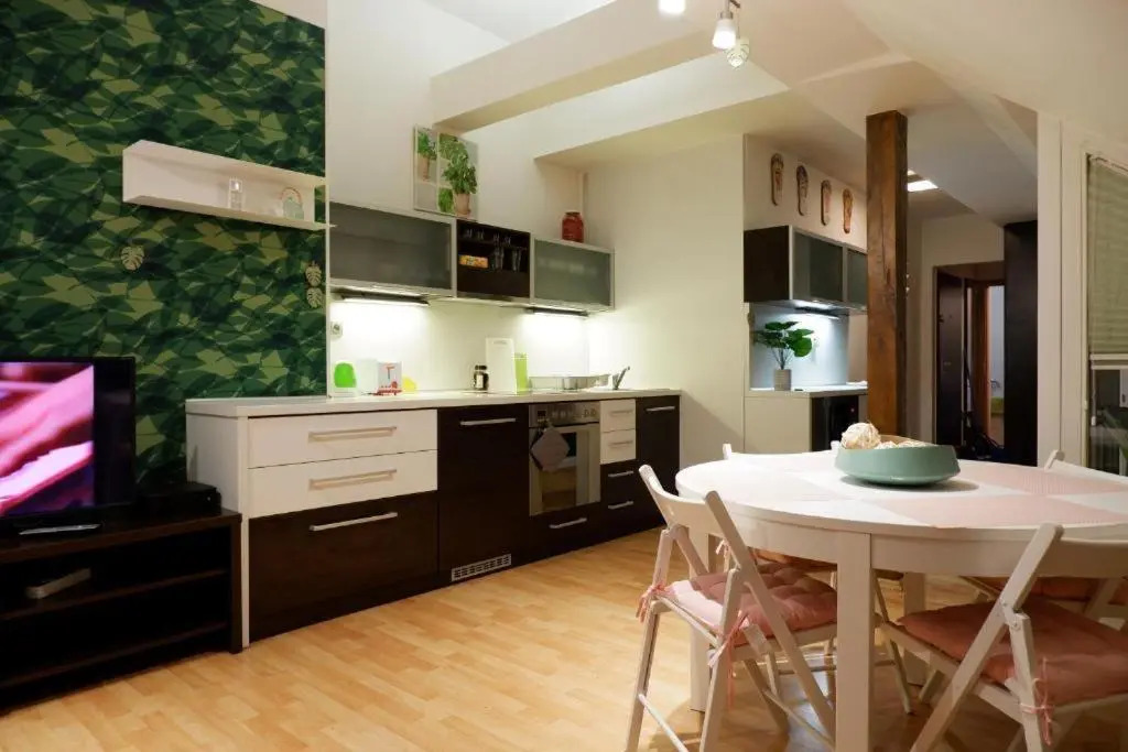 Apartman v centru mesta s vyhledem na Petra