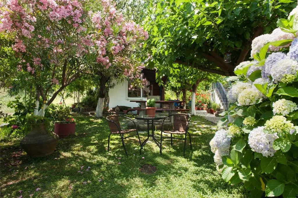 Mirsini Apartments