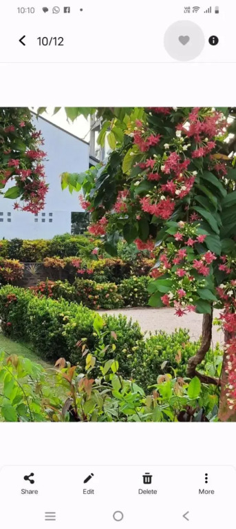 Srilals Guest House