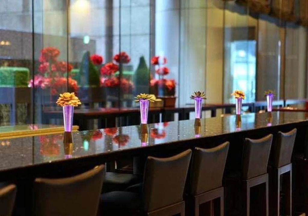 Villa Fontaine Grand Tokyo Roppongi