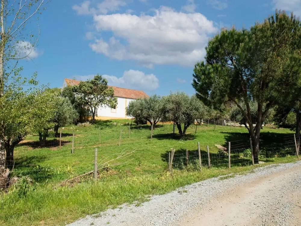 Rustic Alentejo Farmhouse With Pool