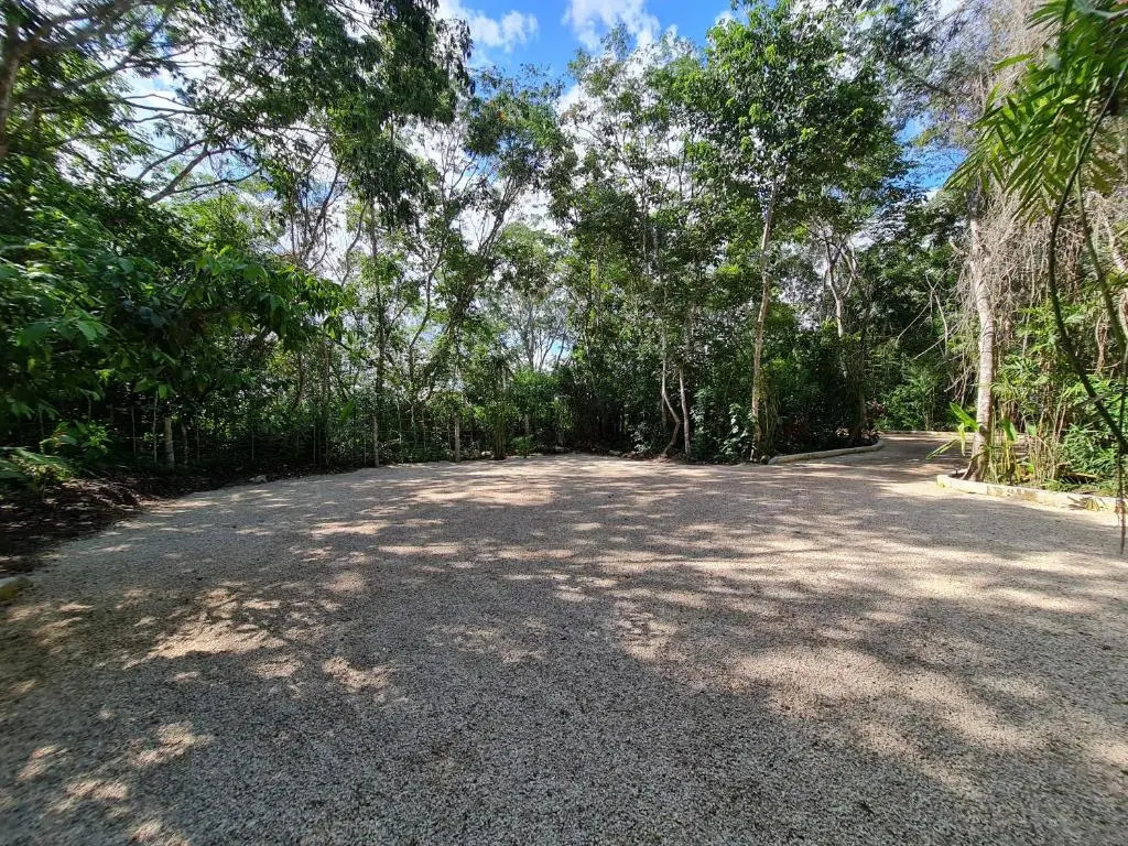 Secret Gardens Bacalar Suite 02 con alberca y bicicletas