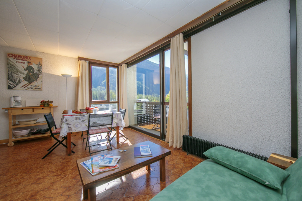 Residence de Lognan- Les Drus 18