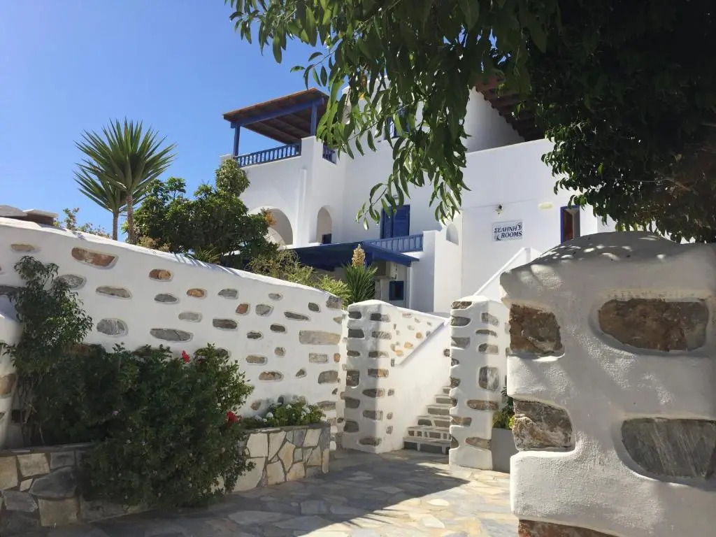Selini Studios