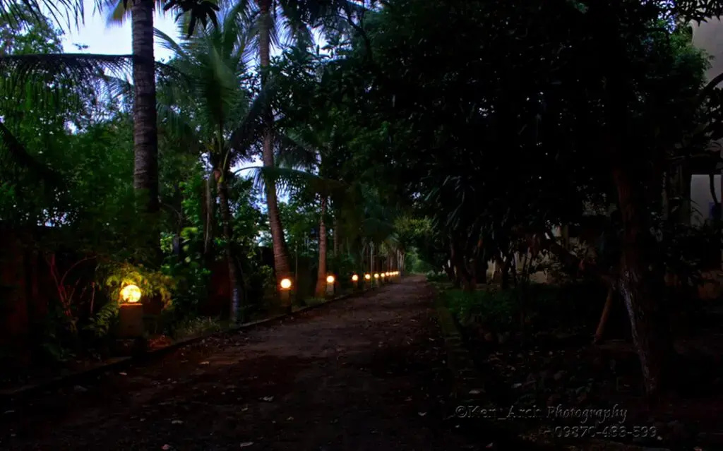 The Lodge Gir