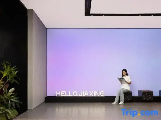 Haining Xia Sha Outlet Wenhai North Road Light Hotel