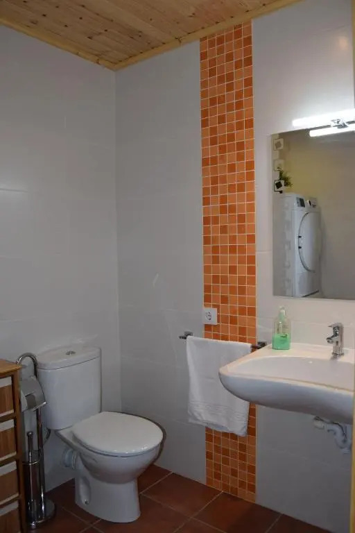 Apartamentos Javier II