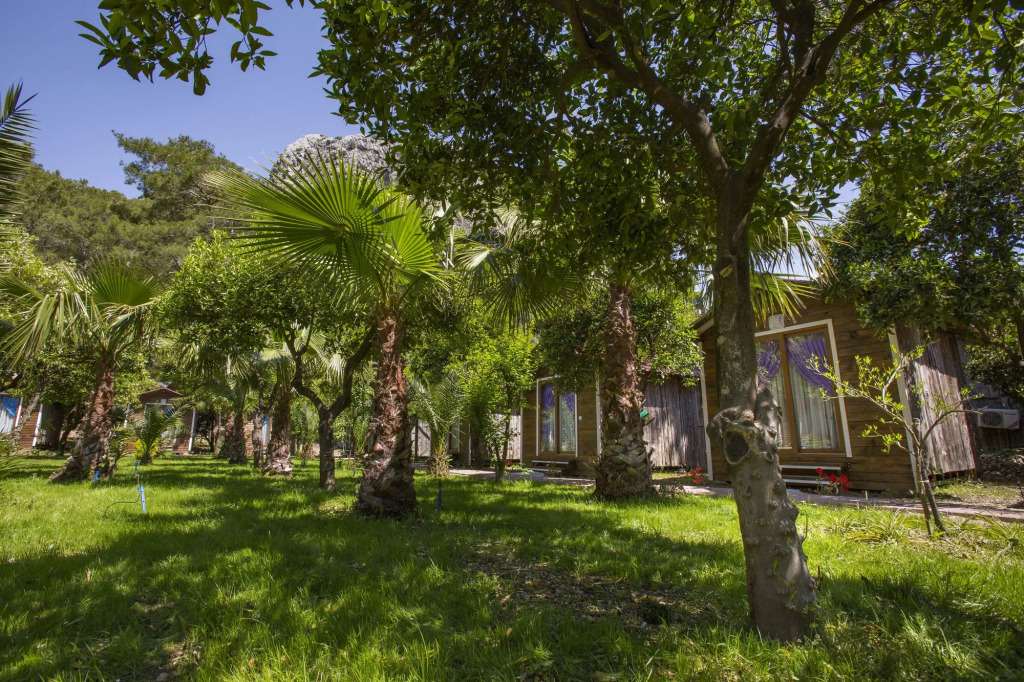Likya Evleri Olympos
