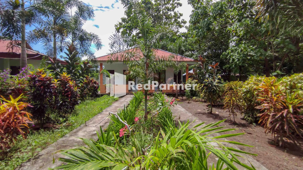 OYO 90988 Tangkoko Jungle Homestay