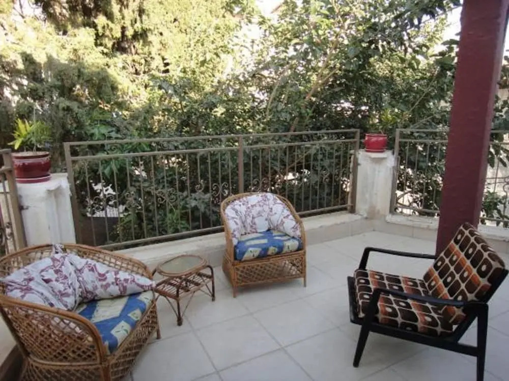 Zimmer Lemon Tree