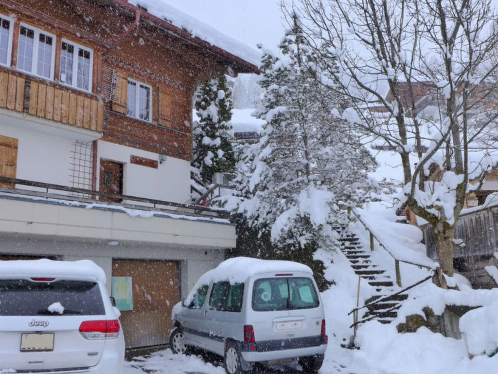 Chalet Seeberg