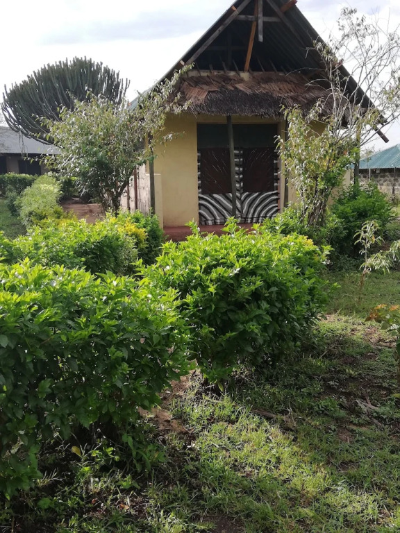 Mara Forest camp